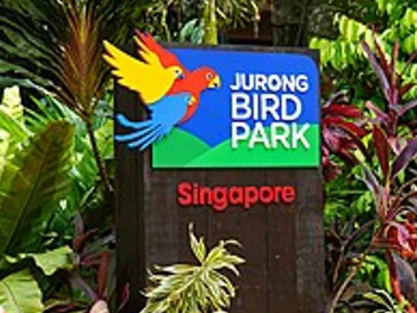 Jurong Bird Park Admission Ticket